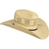 Bailey Men's Ricker Straw Cowboy Hat