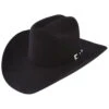 Resistol Men's 20X Black Gold Fur Felt Hat