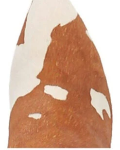 Dingo Women's Mane Tamer Fashion Booties - Pointed Toe -Ariat Western Outlet Store 2000344410 280 P6